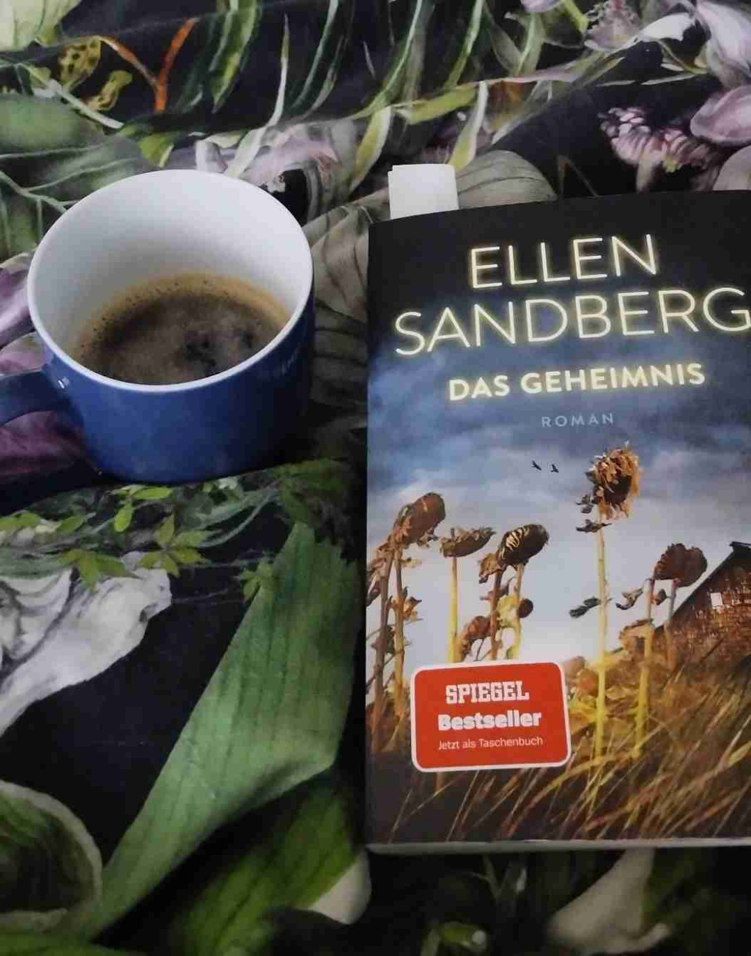 Wunderschöner Roman :)