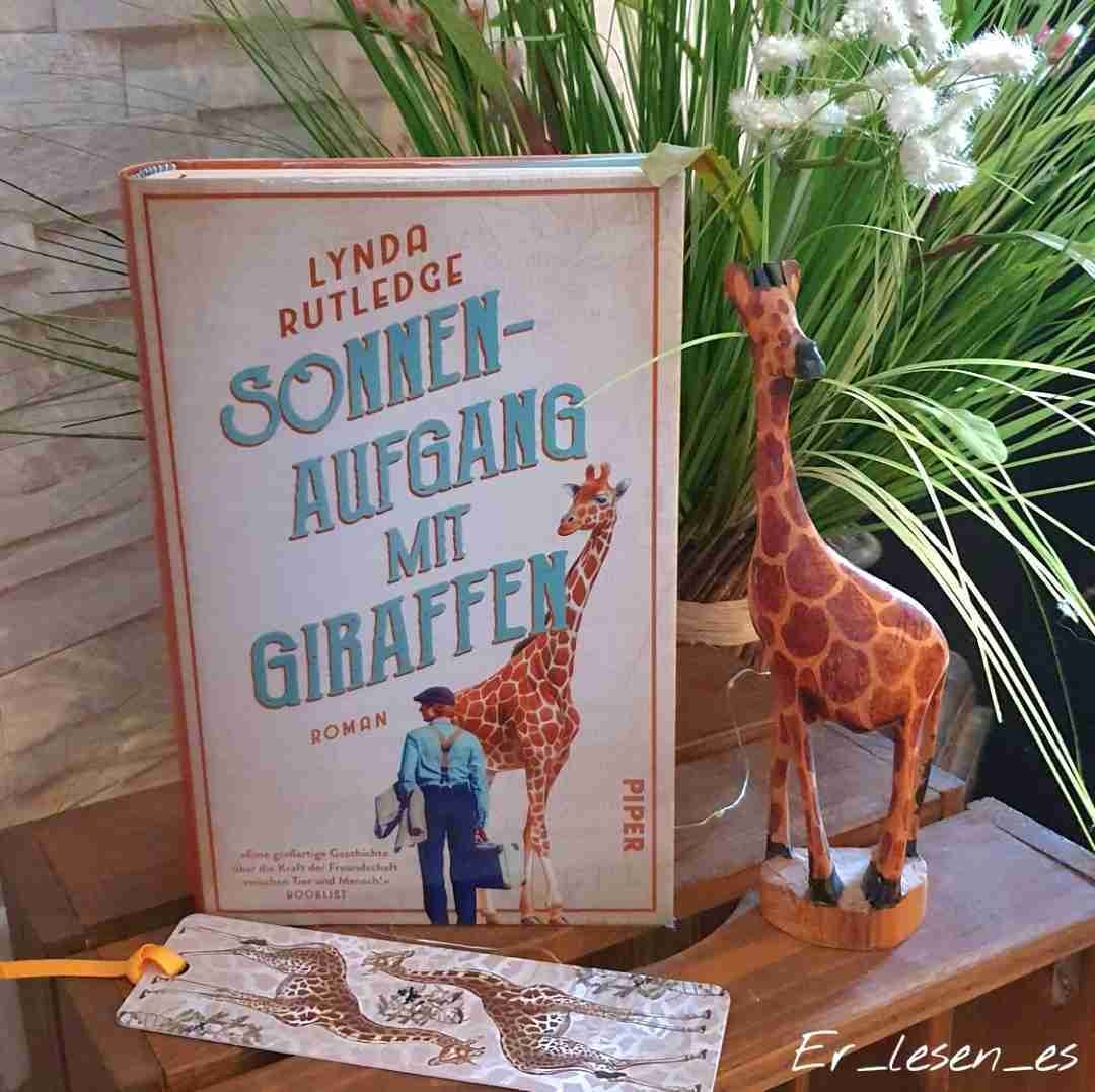 ⭐️⭐️⭐️(⭐️)
Das Buch war kein Highlight für mich - empfehlen würde ich es aber trotzdem, schon allein, weil diese Story wirklich ein schriftliches Denkmal verdient hat!