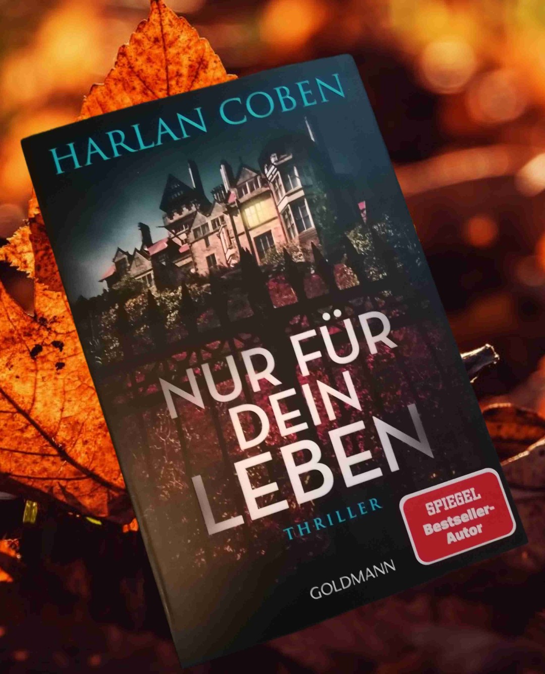 Temporeicher spannender Thriller
