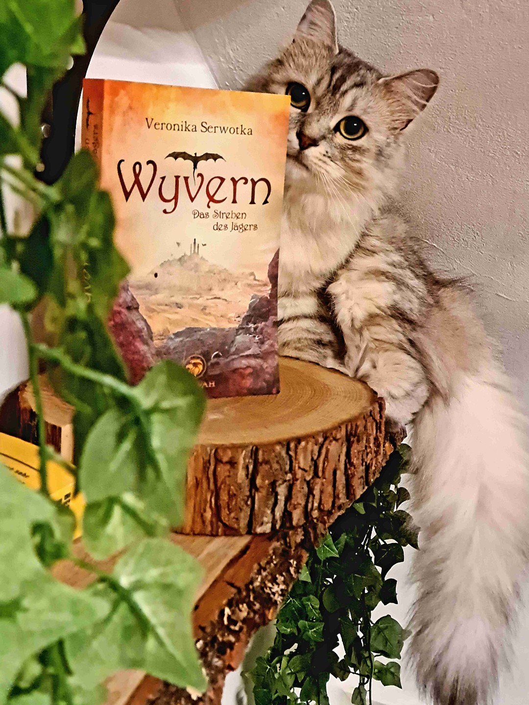 Eine Drachenstory wie sie sein soll!