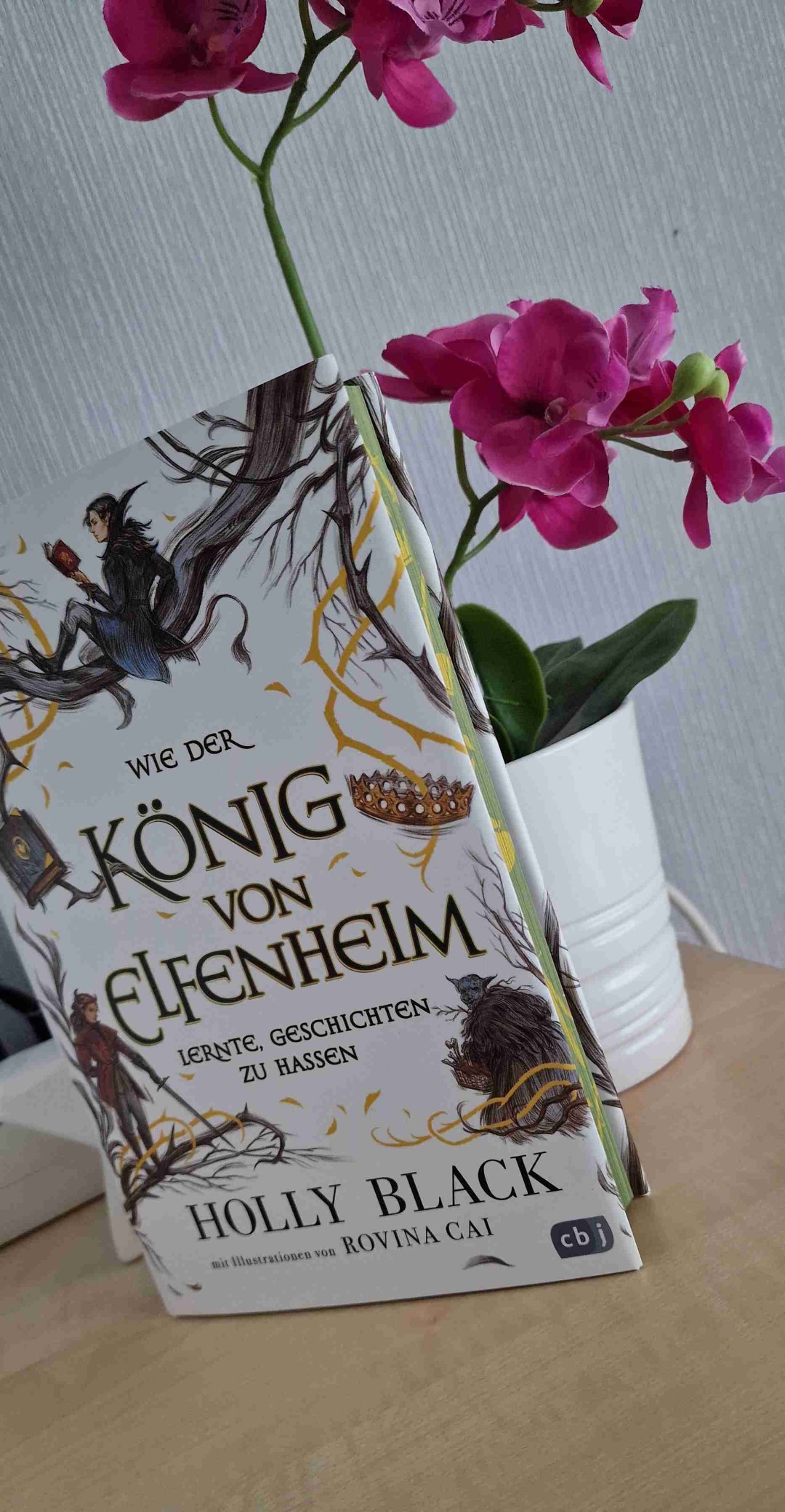 Das Buch ist ein wirklich schöner Zusatz für alle die die Elfenkrone Reihe gemocht haben. Es sind viele kleine Kurzgeschichten in denen man mehr über Cardan in denen man ihn besser kennenlernt. Außerdem hat das Buch super schöne Illustrationen😊