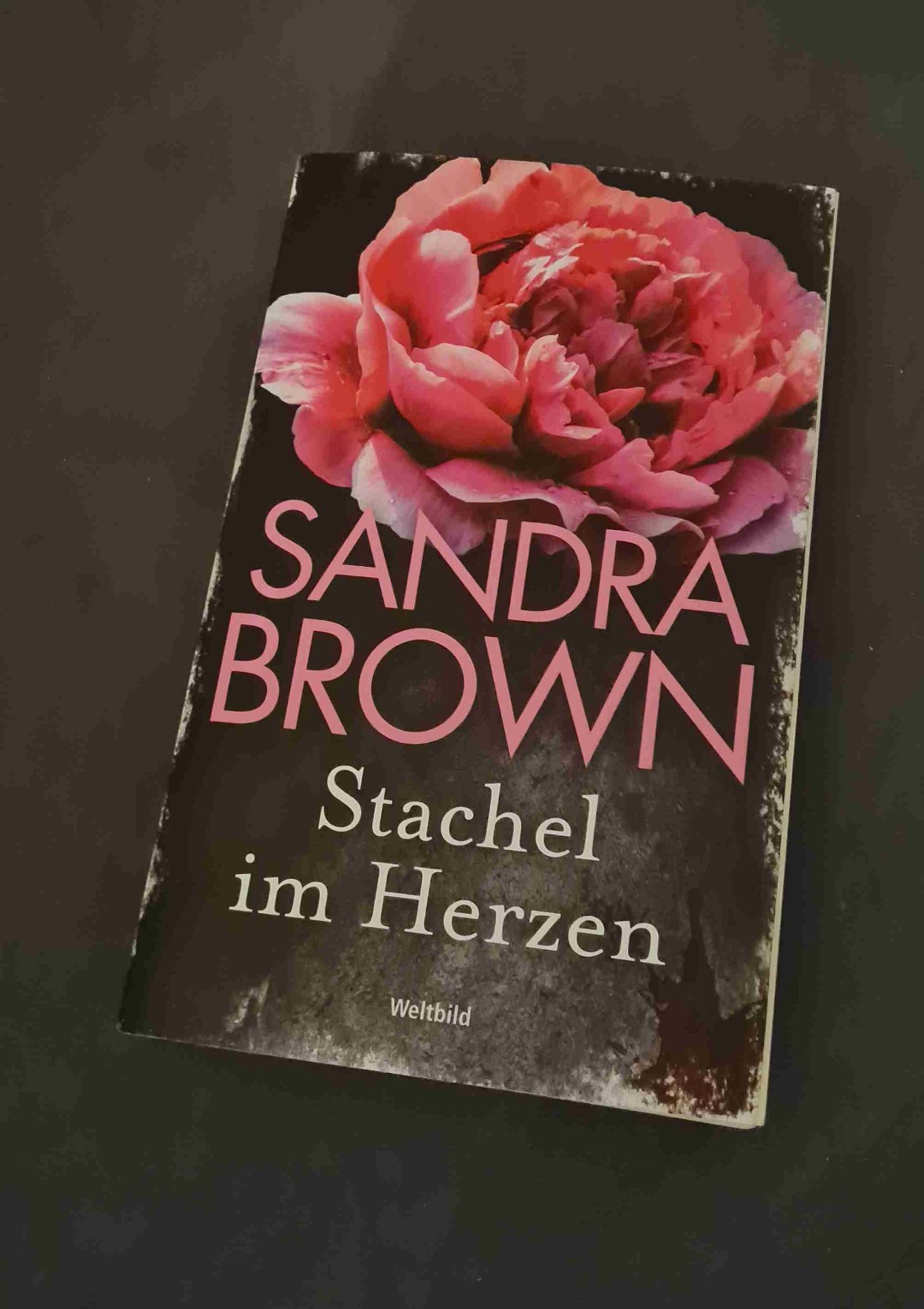 ✨️Stachel im Herzen✨️
Wow, viele gemischte Gefühle
Einerseits war das Buch total in die Länge gezogen, aber andererseits war es an manchen Stellen total spannend und das Ende!! Da brauch man garnicht drüber reden, hätte ich nicht mit gerechnet.
Endresultat: Es ist nicht mein Lieblingsbuch, aber auch nicht mein Hassbuch, es ist ein gutes Buch für zwischendurch