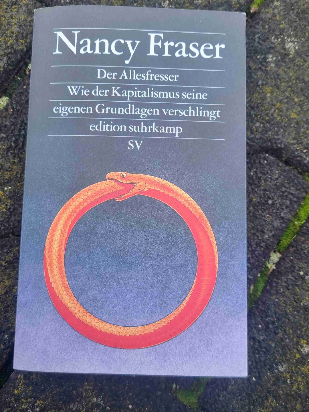 Ein sehr gutes Buch für Personen die sich bereits mit dem Thema beschäftigt haben, und Zusammenhänge weiter verstehen wollen, oder das Thema vertiefen möchten