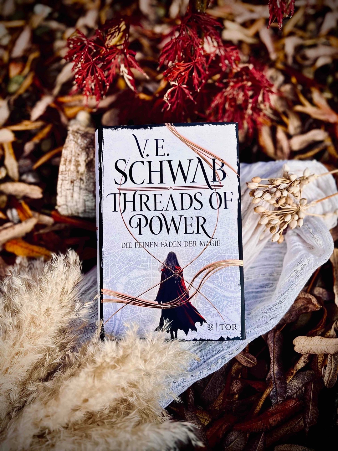 Ein neues grandioses Fantasy-Epos von V.E. Schwab !