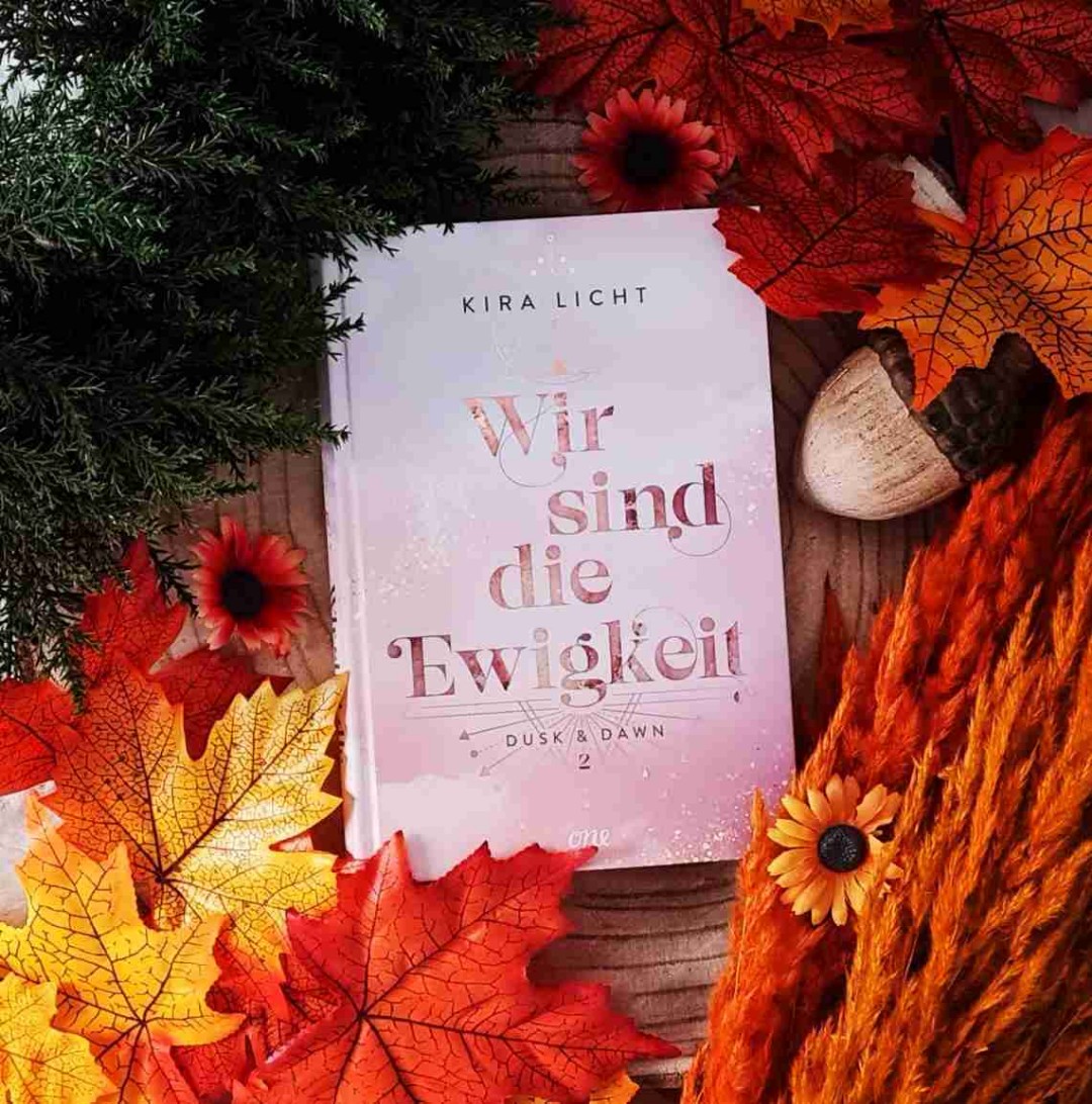 Ein tolles Ende der Dusk&Dawn Dilogie 