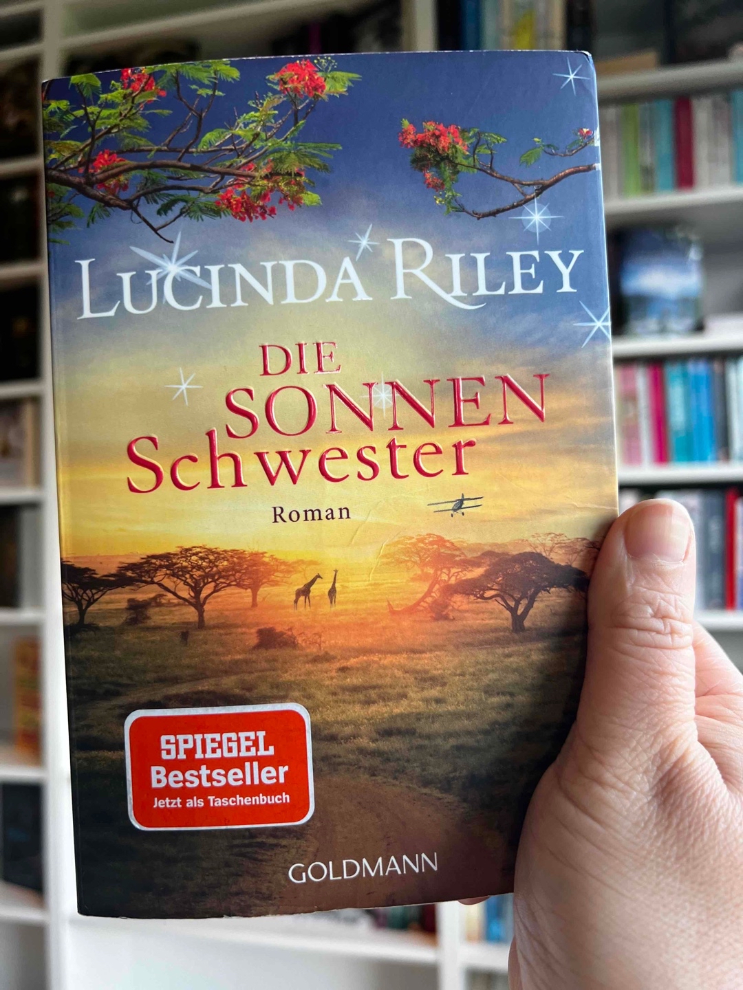 Eins der besten Bücher in der Reihe