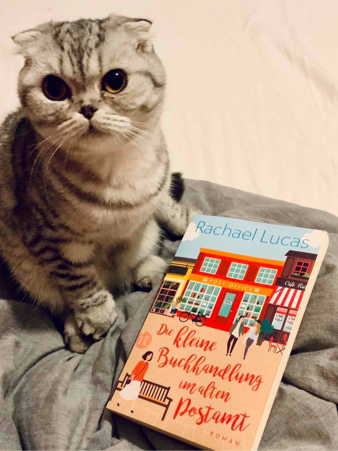 Als Hannahs Traum von einer eigenen kleinen Buchhandlung in einem wunderschönen Dorf in den Cotswold ganz überraschend Wirklichkeit wird, kann sie ihr Glück kaum fassen. Vor lauter Begeisterung entgeht ihr, das sich ihr Ehemann in letzter Zeit extrem rargemacht hat. Und als dann noch Jake Lovatt, ein gutaussehender, charmanter
Ex-Fußballstar, auftaucht, sind die Verwicklungen vorprogrammiert...