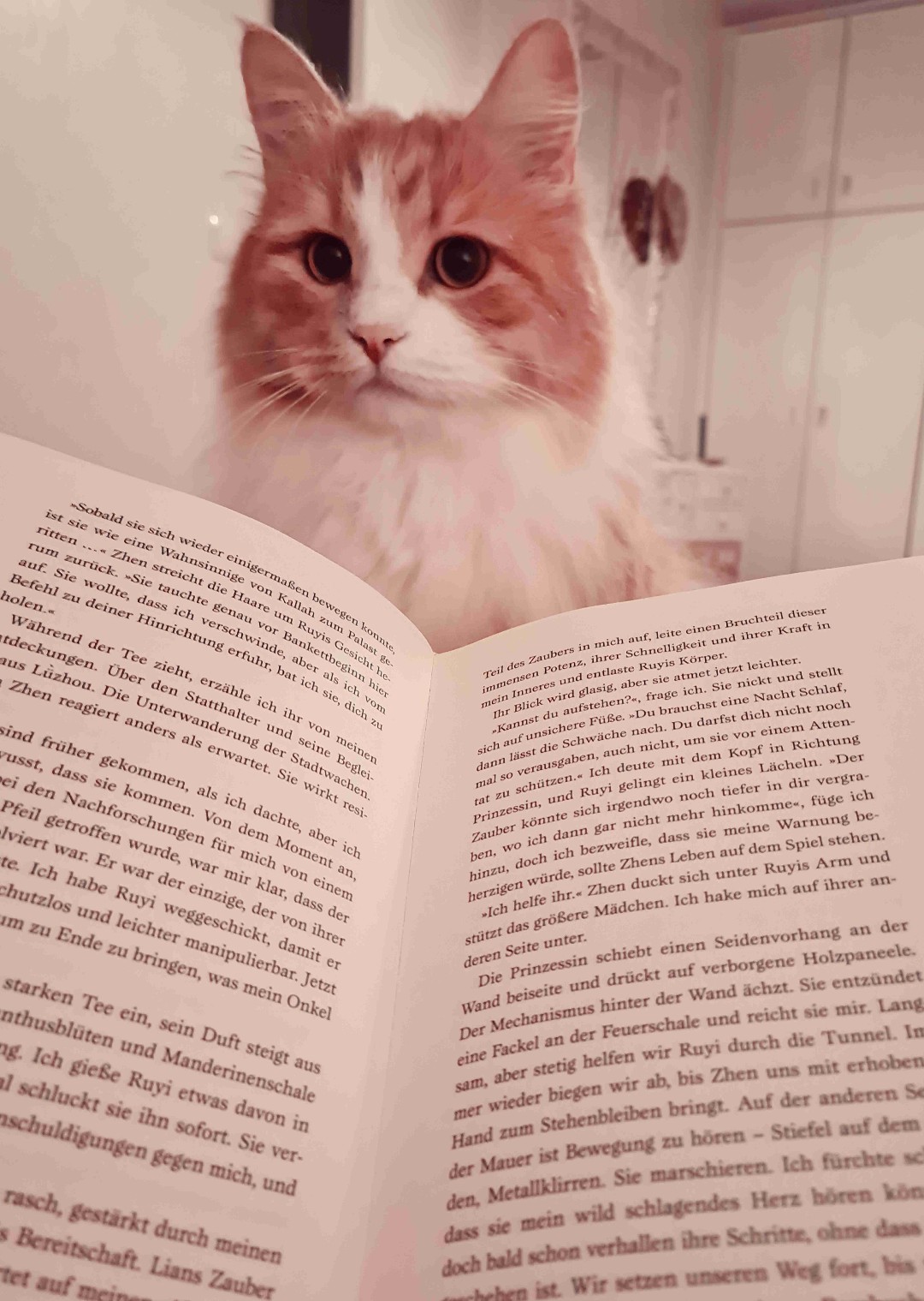 Eintauchen in eine andere Welt