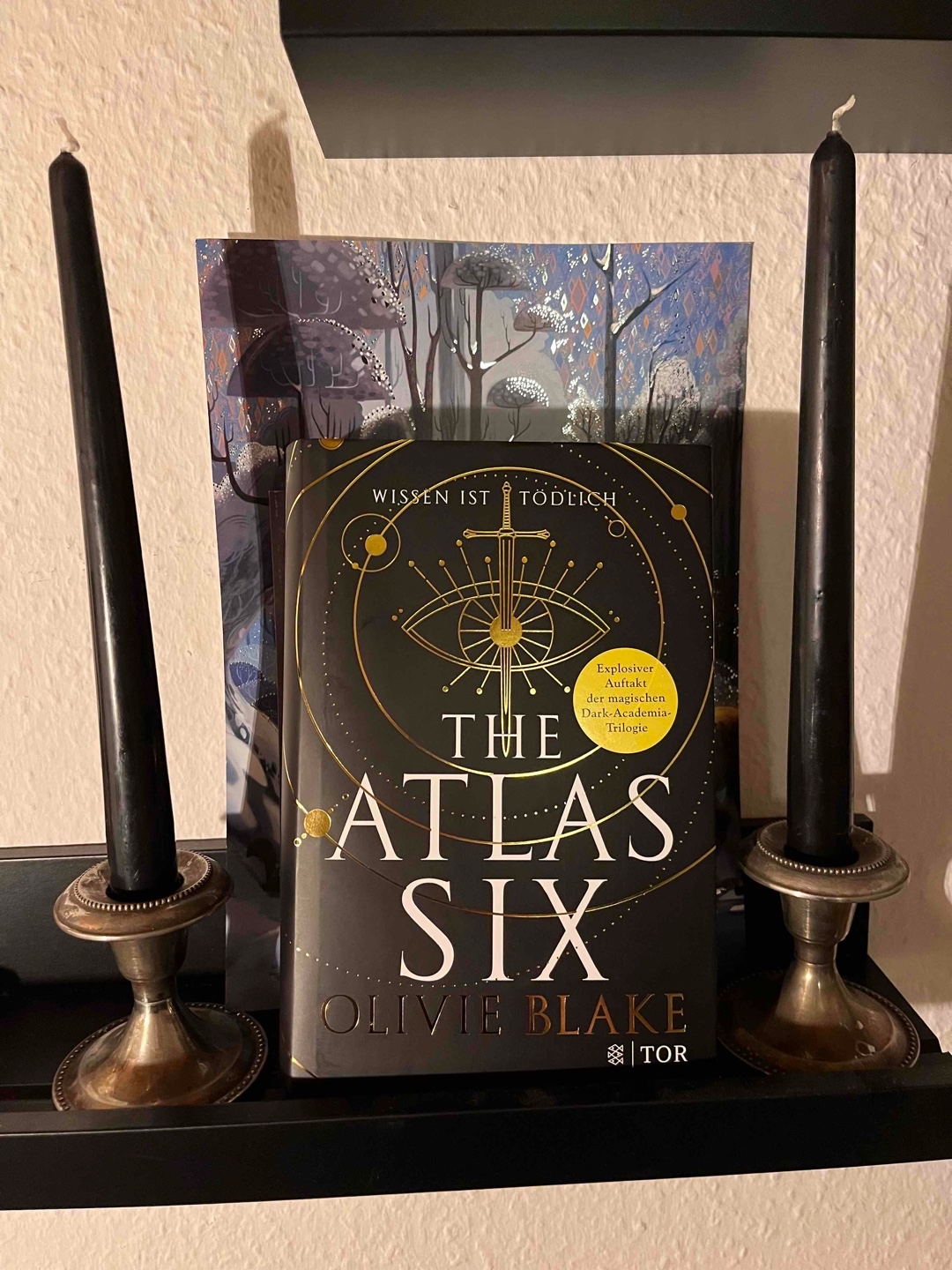 Also wenn das ein Dark Academia Buch war, dann möchte ich keine mehr lesen. 