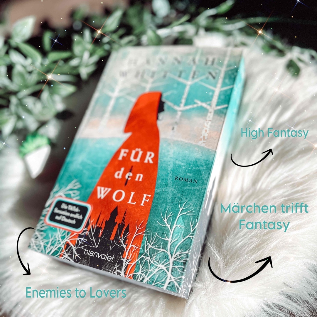 Düstere High Fantasy Geschichte 🖤