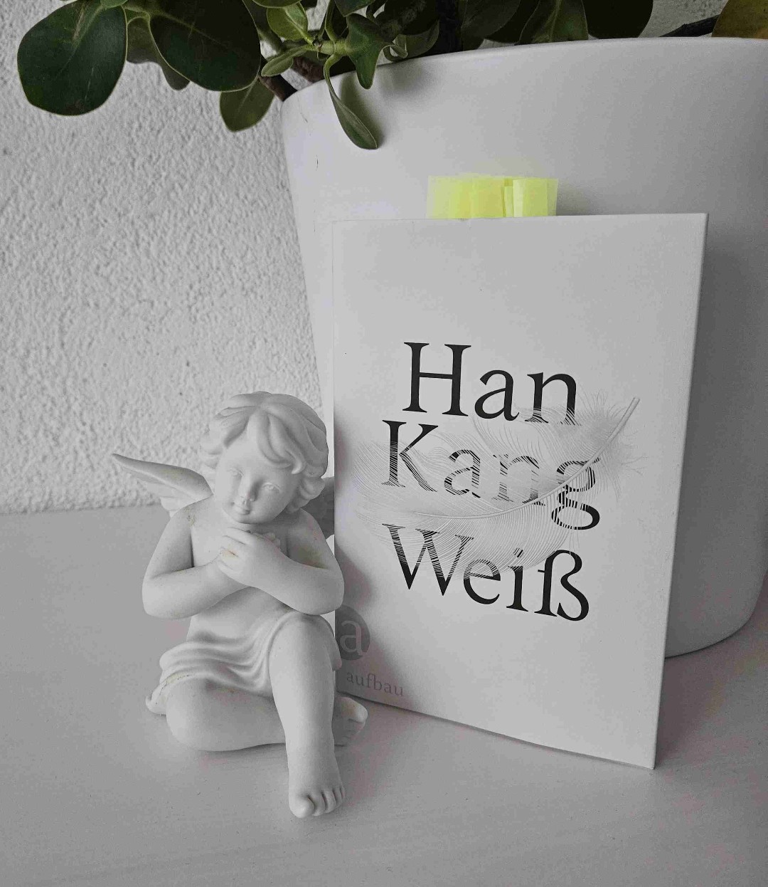 Ein stilles Meisterwerk auf einhundertfünfzig Seiten. 🤍