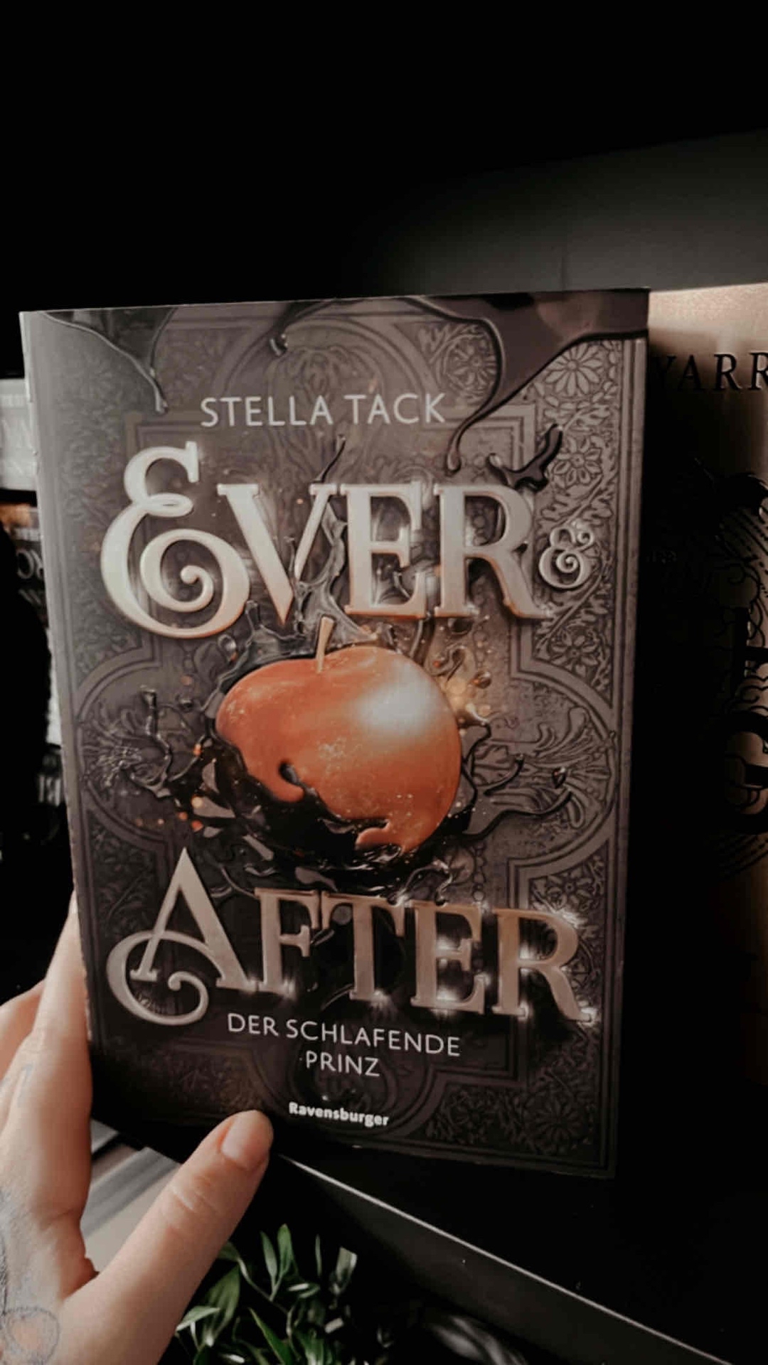 Exzellenter Start, der leider abflacht …