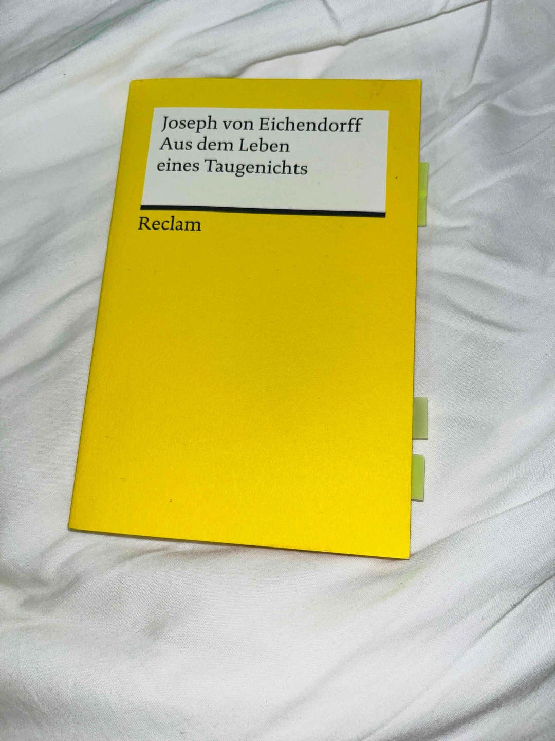 Der Sohn eine Müllers wird von diesem in die weite Welt geschickt, da er ein Taugenichts sei. Das Werk begleitet seine Reise, die ihn über Wien und Italien führt und ihn schließlich in den Adel eintreten lässt.