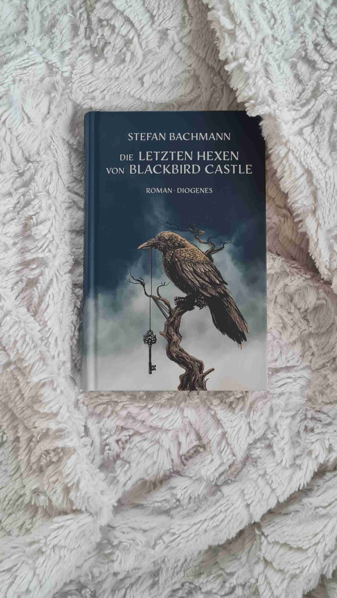 Ein Waisenmädchen entdeckt, dass sie eine Hexe ist und muss ihr Familienerbe antreten. Aber was passiert an ihrem Familiensitz Blackbird Castle wirklich?