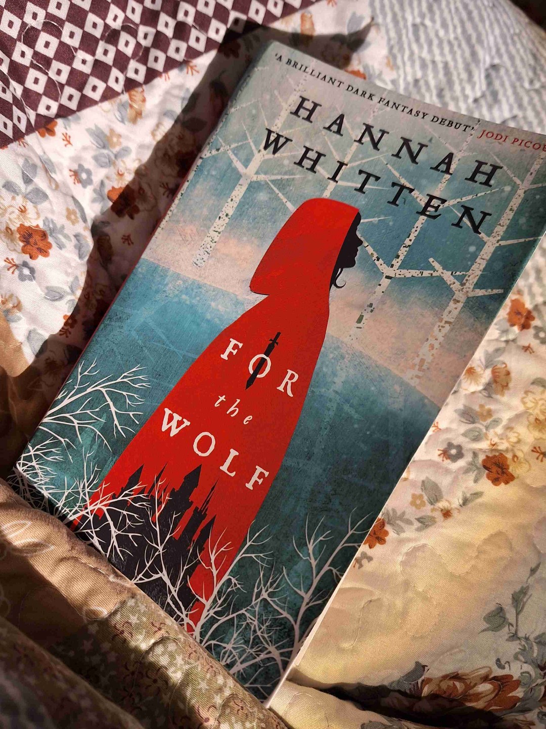 Ich mochte die ganze Idee super gerne und auch Red und den Wolf. Neve sollte dich von creepy Pristerinnen fernhalten. Und ein bisschen mehr Tempo in der Geschichte hat gefehlt