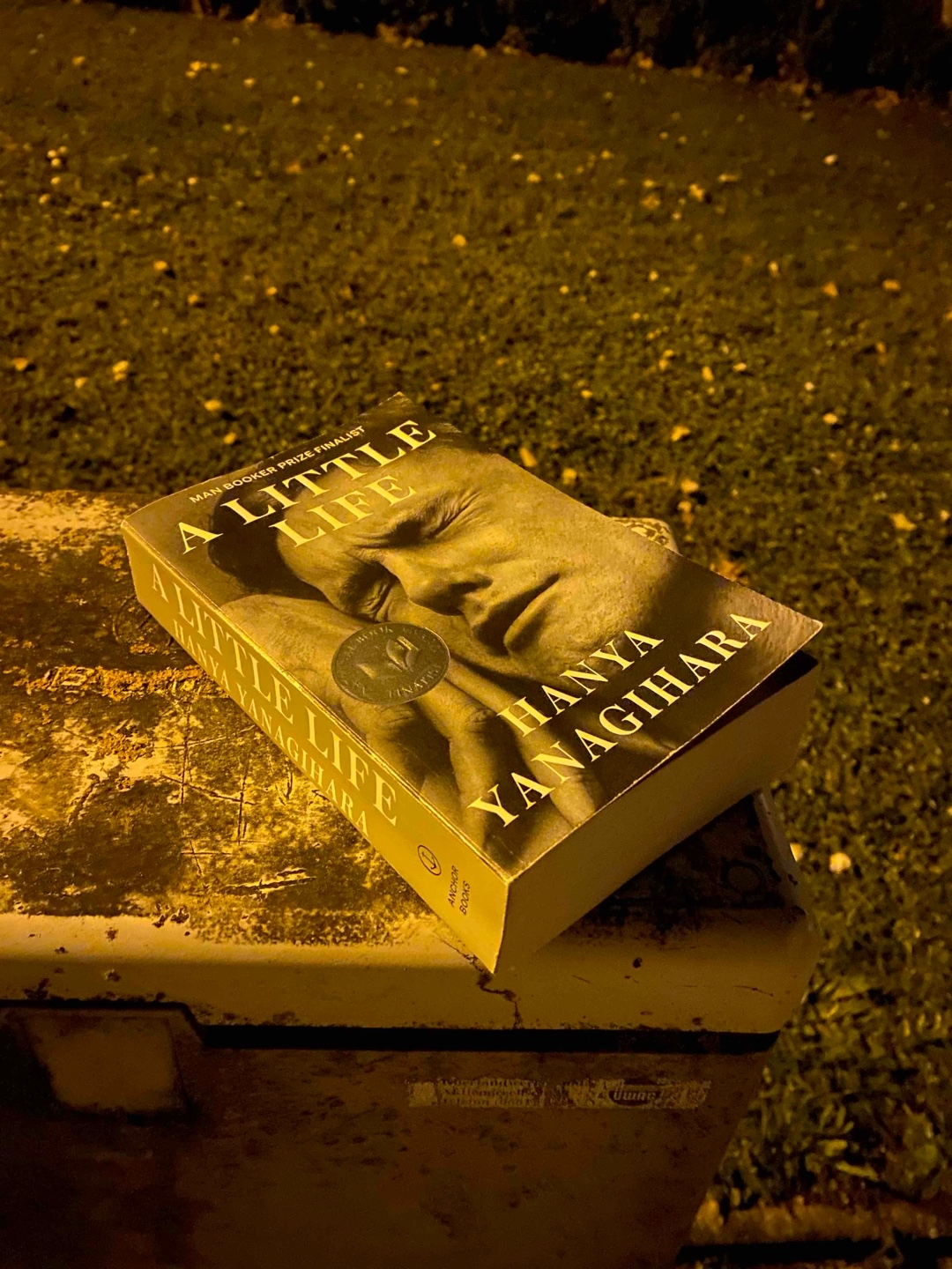 It’s the best and worst book I ever read.