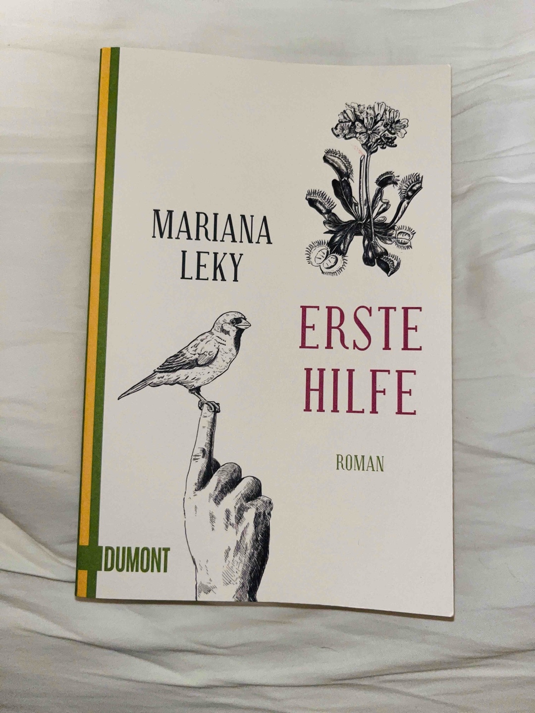 Die Erzählerin wohnt zusammen mit dem Frauenschwarm Sylvester in dessen Wohnung, als eines Abend Mathilda mit ihrem Hund klingelt, weil sie glaubt den Verstand zu verlieren. Die beiden nehmen Mathilda auf um gemeinsam ihre Ängste zu bekämpfen.