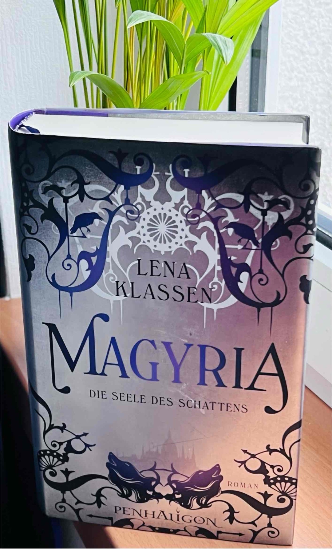 Dies war Band 2 der Magyria Trilogie.Es geht weiter mit der Geschichte um Hanna,die ein Au-Pair Jahr in Budapest macht, und Mattim einen Vampir/Schatten aus der anderen Welt Magyria, die sich ineinander verliebt haben. Auch in Band 2 versuchen sie Akink die Stadt des Lichts zu retten.
Mir hat das Buch gut gefallen, besser noch als der 1.Teil denn ich kam besser in die Geschichte rein. Es gab ein paar Längen im Buch, aber die Geschichte war trotzdem spannend und ich wollte wissen wie es weiter geht. Jetzt freue ich mich auf den finalen Band der Trilogie.