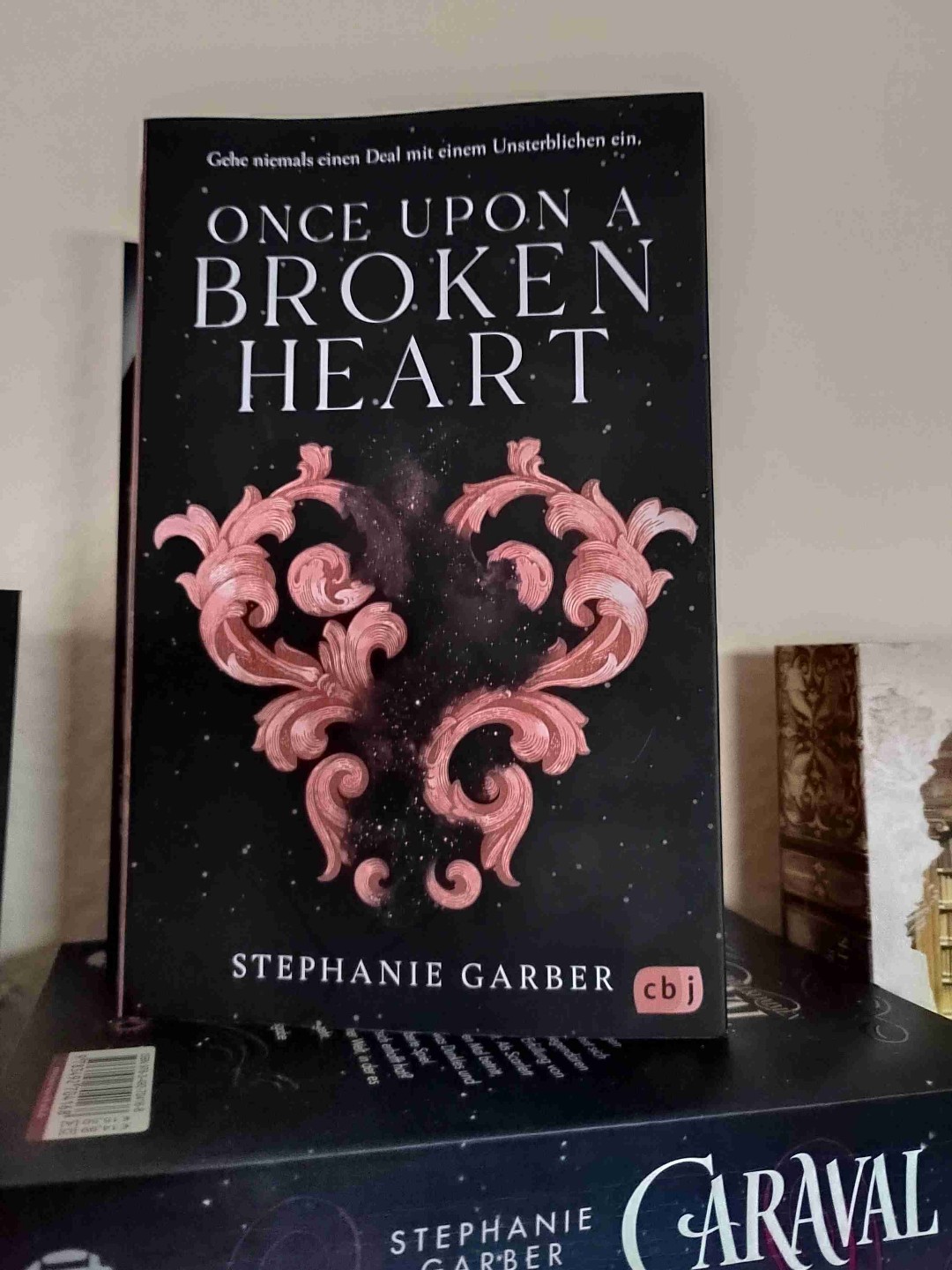 Was für ein Buch - Wow!!! Ich liebe es! 