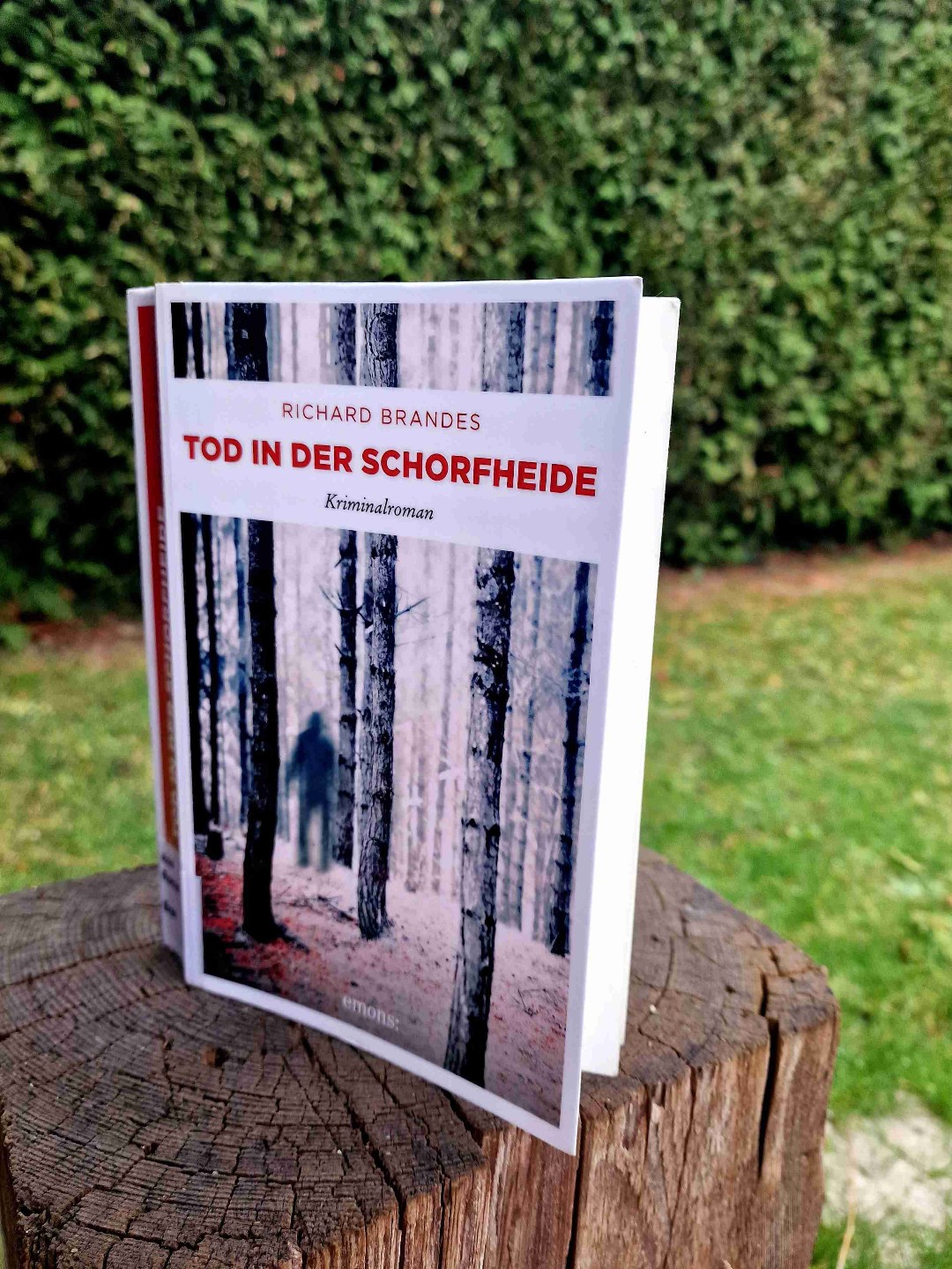 Endlich mal wieder ein richtig guter Krimi (mit Thriller-Elementen)