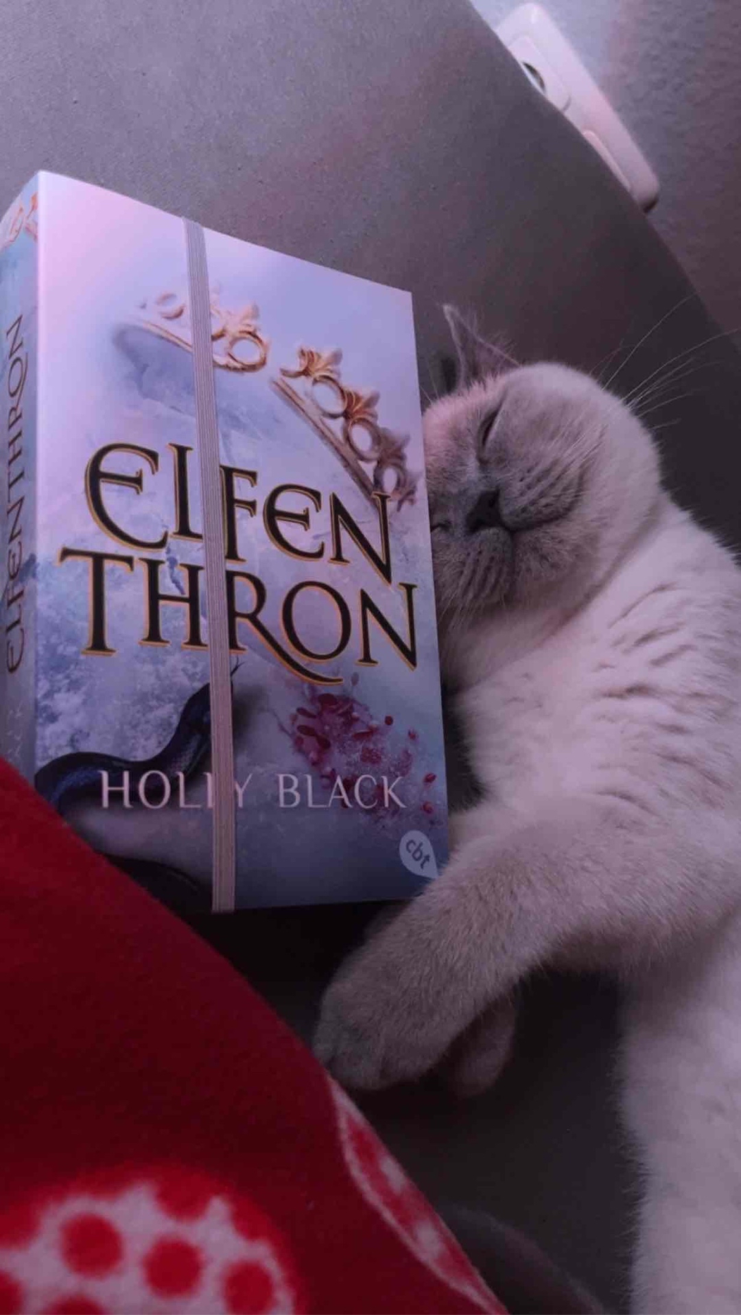 Ich wollte die Bücher nicht mehr aus der Hand legen 📖