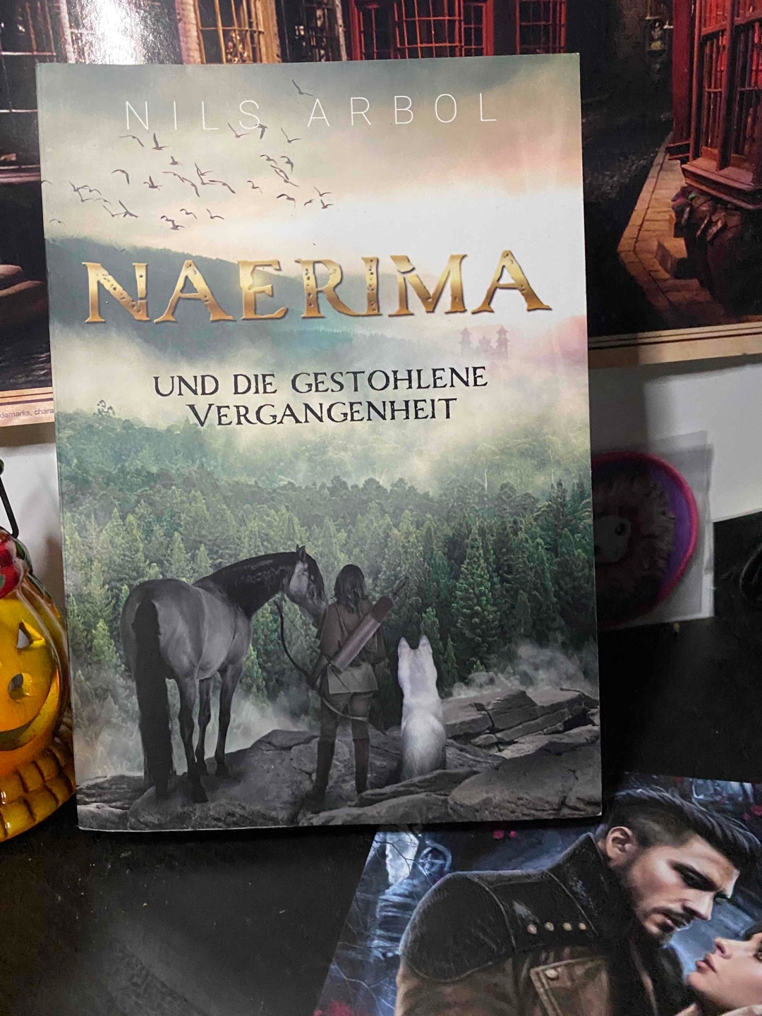 Eine Wunderschöne high Fantasy Geschichte der Naerima, die ein wenig an Katniss erinnert