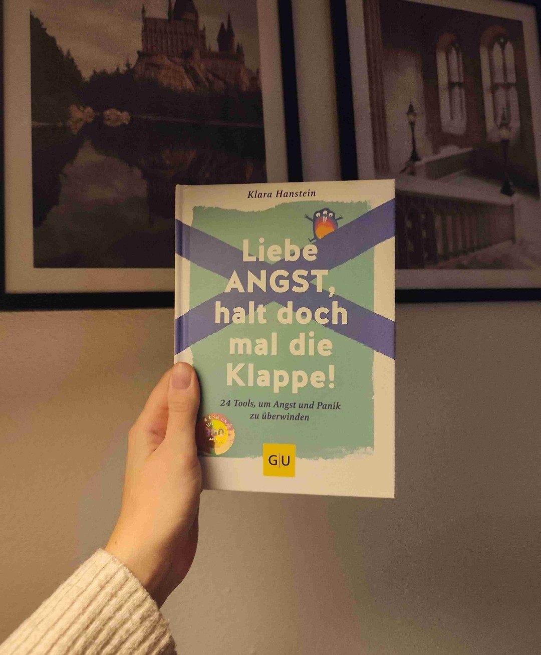 Einer der besten Ratgeber im Bereich Angststörungen/Panikattacken, die ich bisher gelesen habe!