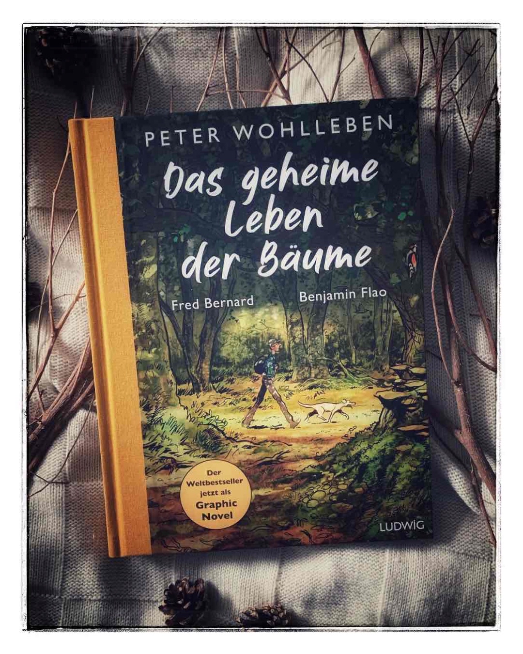 Schön und lehrreich! 🌳
