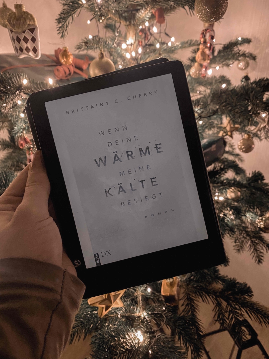 Ein perfektes Buch für die Weihnachtszeit ❄️☃️❤️