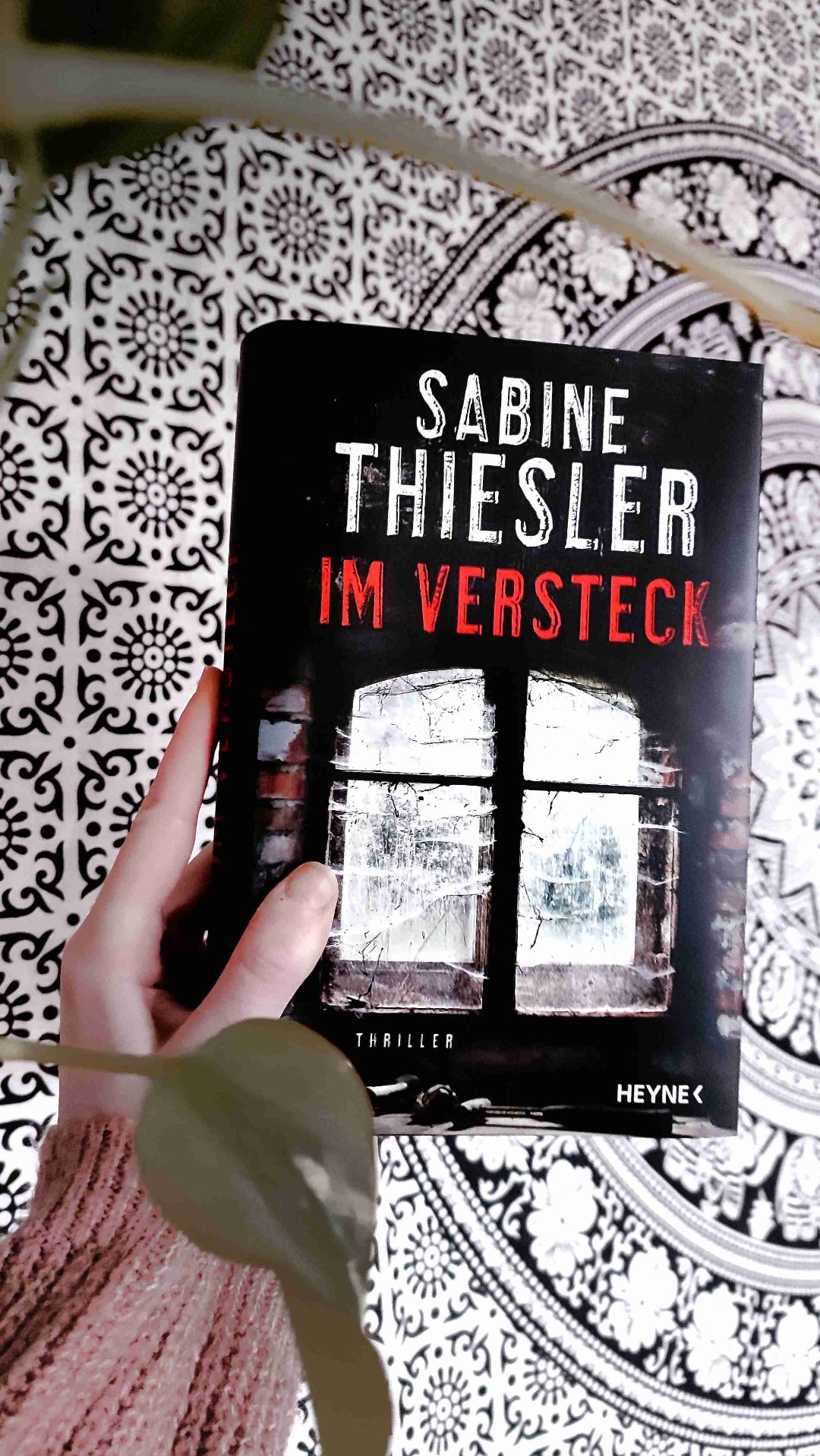 Was habe ich da nur gelesen?! TW: Pädophilie