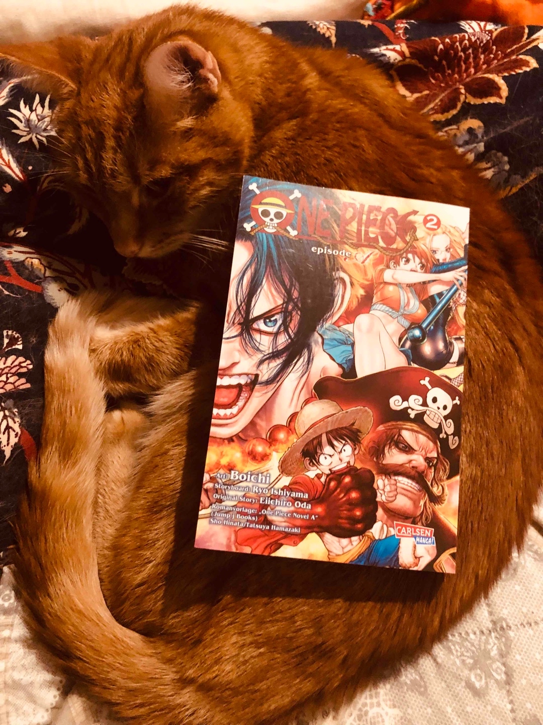 Abschlussband der Geschichte von Ace und Whitebeard