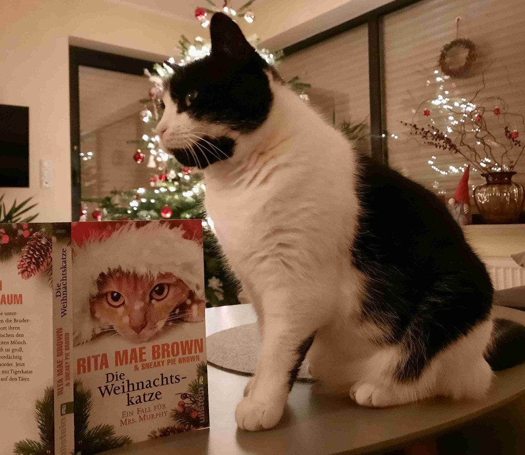 Ein schöner, unterhaltsamer und gemütlicher Krimi über Harry und ihre Katzen und Hunde, die gemeinsam einen Mord in einem kleinen Dorf aufdecken.
Plätzchen, Kaffee, Buch und Katze, Weihnachten kann kommen 🎄🐈🐈⬛🐕🎄