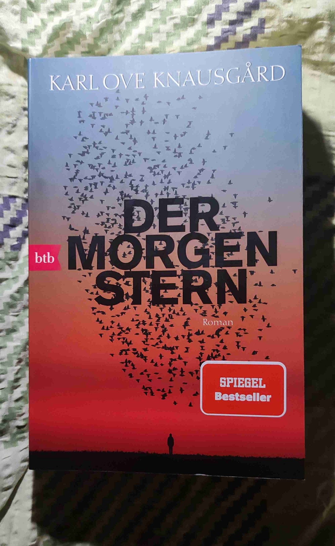 Zufallsfund, der sich kurz vor Jahresende noch zum Highlight hochmausert! Direkt nach dem Beenden den zweiten Band bestellt.