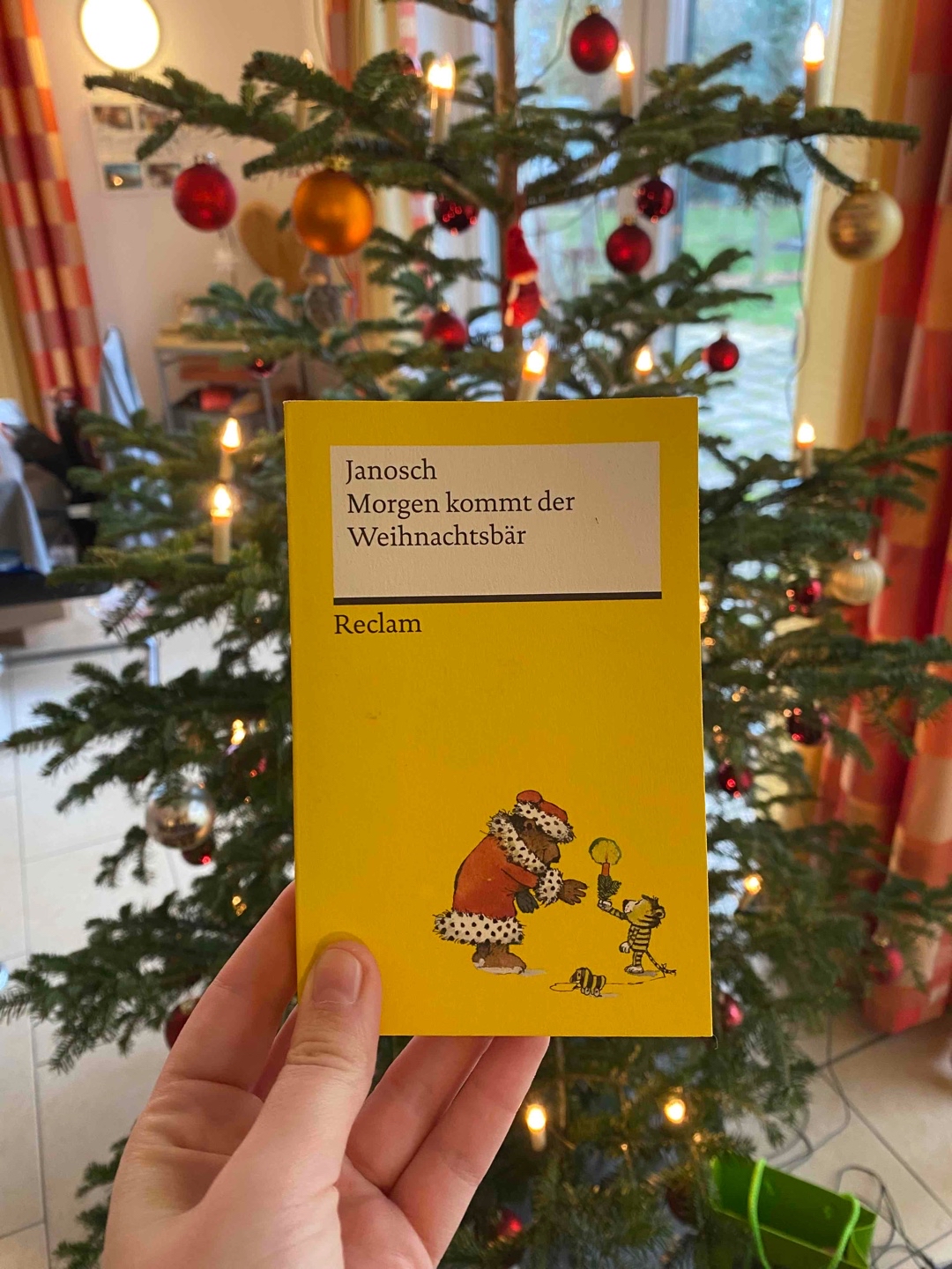 Ein schönes Adventsbuch ✨🎄