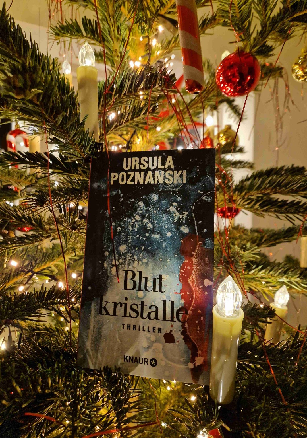 Spannender Kurzthriller - gut in einem wegzulesen - Wendung war nicht allzu überraschend, aber dennoch gelungen