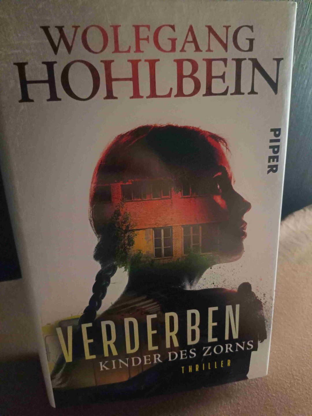 Mein erster Hohlbein, nicht übel