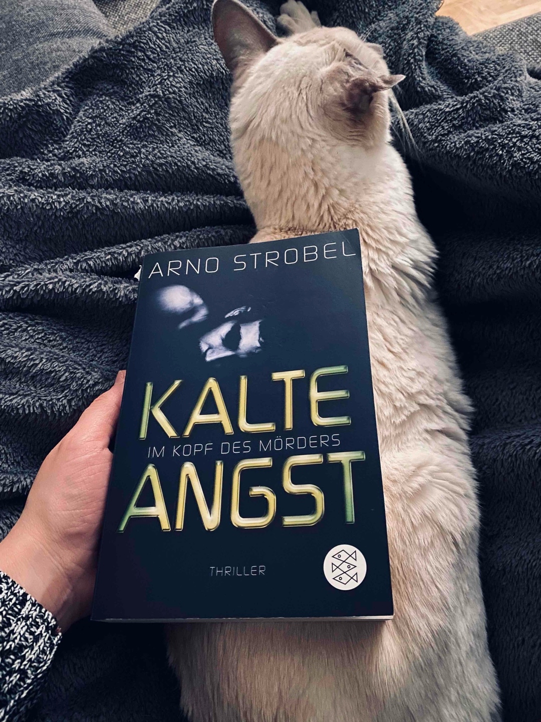 Viel besser als Teil 1 ! Spannend und fesselnd