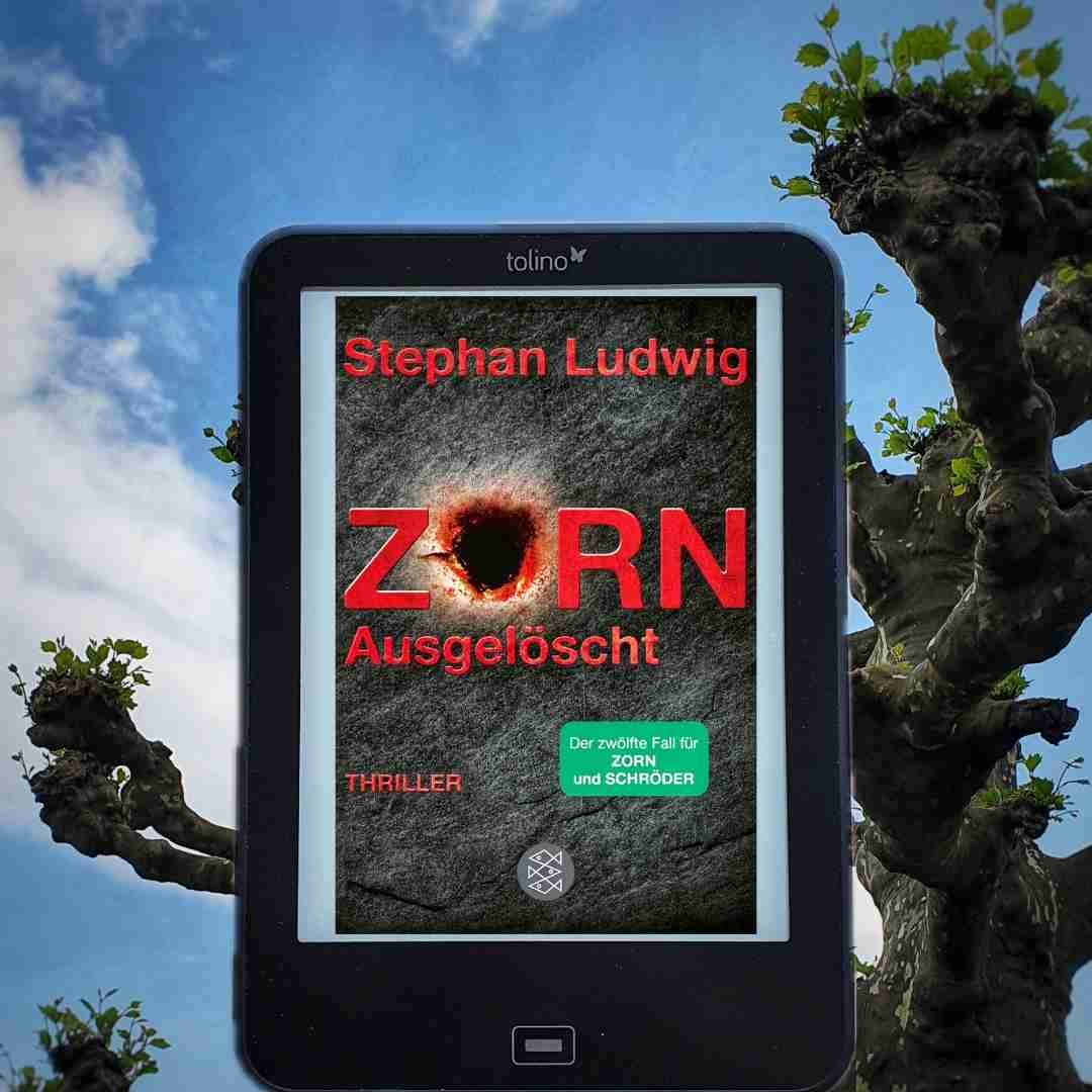 Man bekommt mehr Einblick in Zorns Privatleben, als in die Ermittlungen.