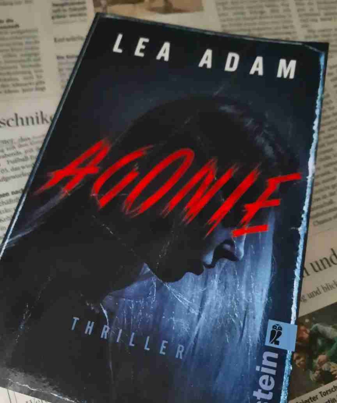 Ein guter Thriller für Zwischendurch