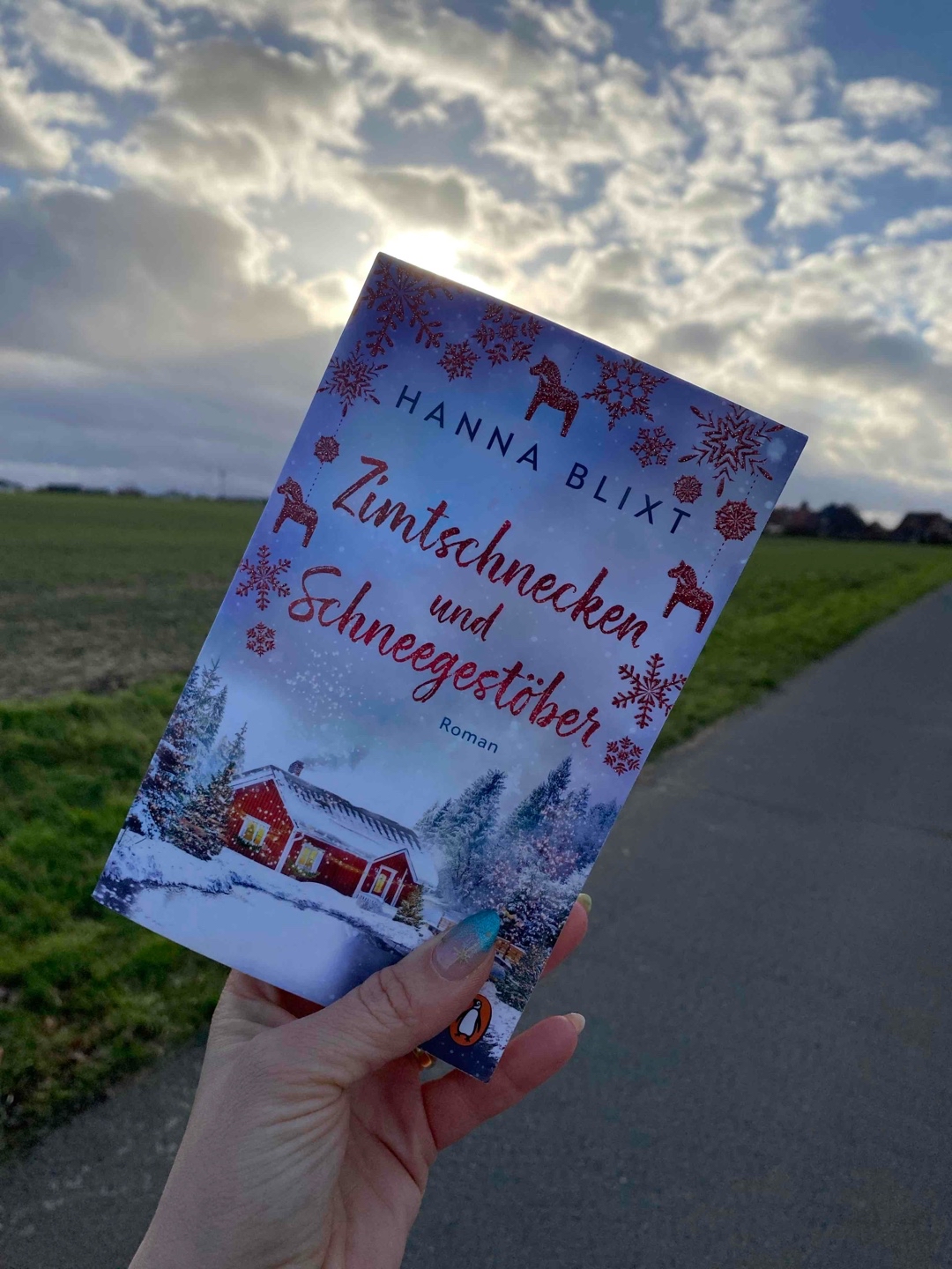Es war nicht die Love Story die der klappen Text versprochen hatte…