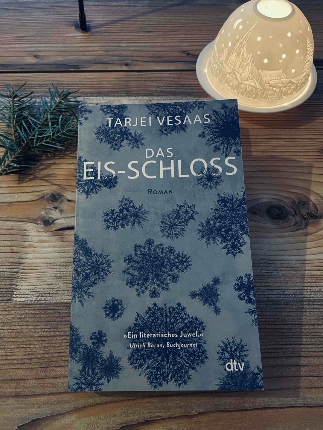 Tolles poetisches und spannendes Buch, über eine kurze, jedoch intensive Freundschaft