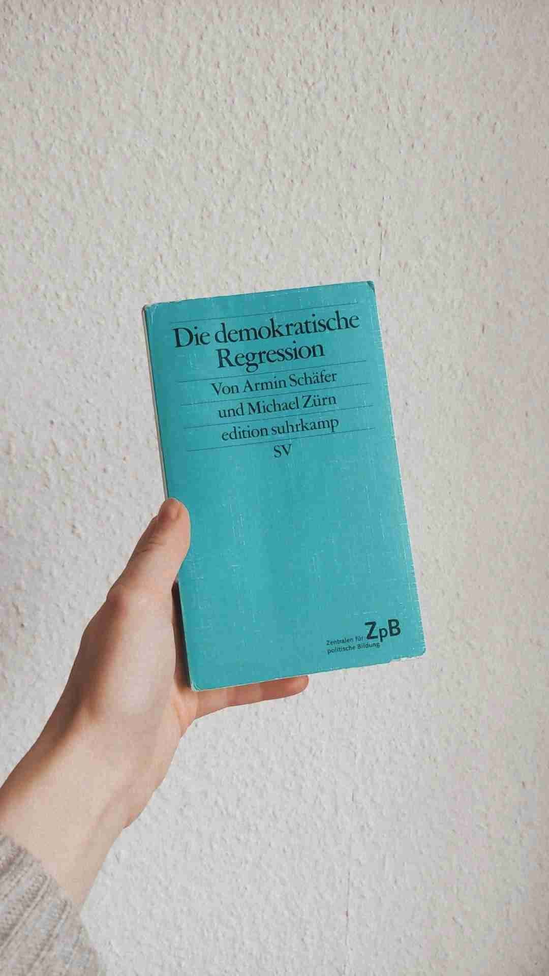 Ein interessantes Werk zu dem Zustand der Demokratie, den Ursachen einer demokratischen Regression und möglichen Lösungsansätzen.