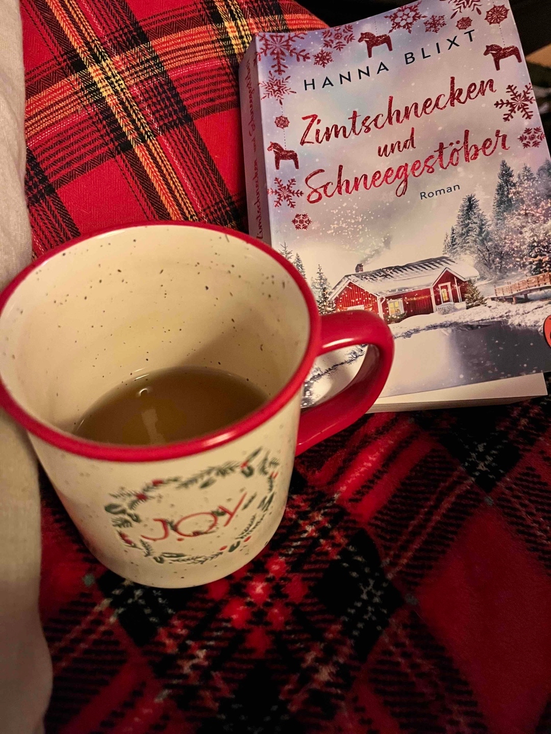 Wunderschön winterlicher Schwedenroman ❄️