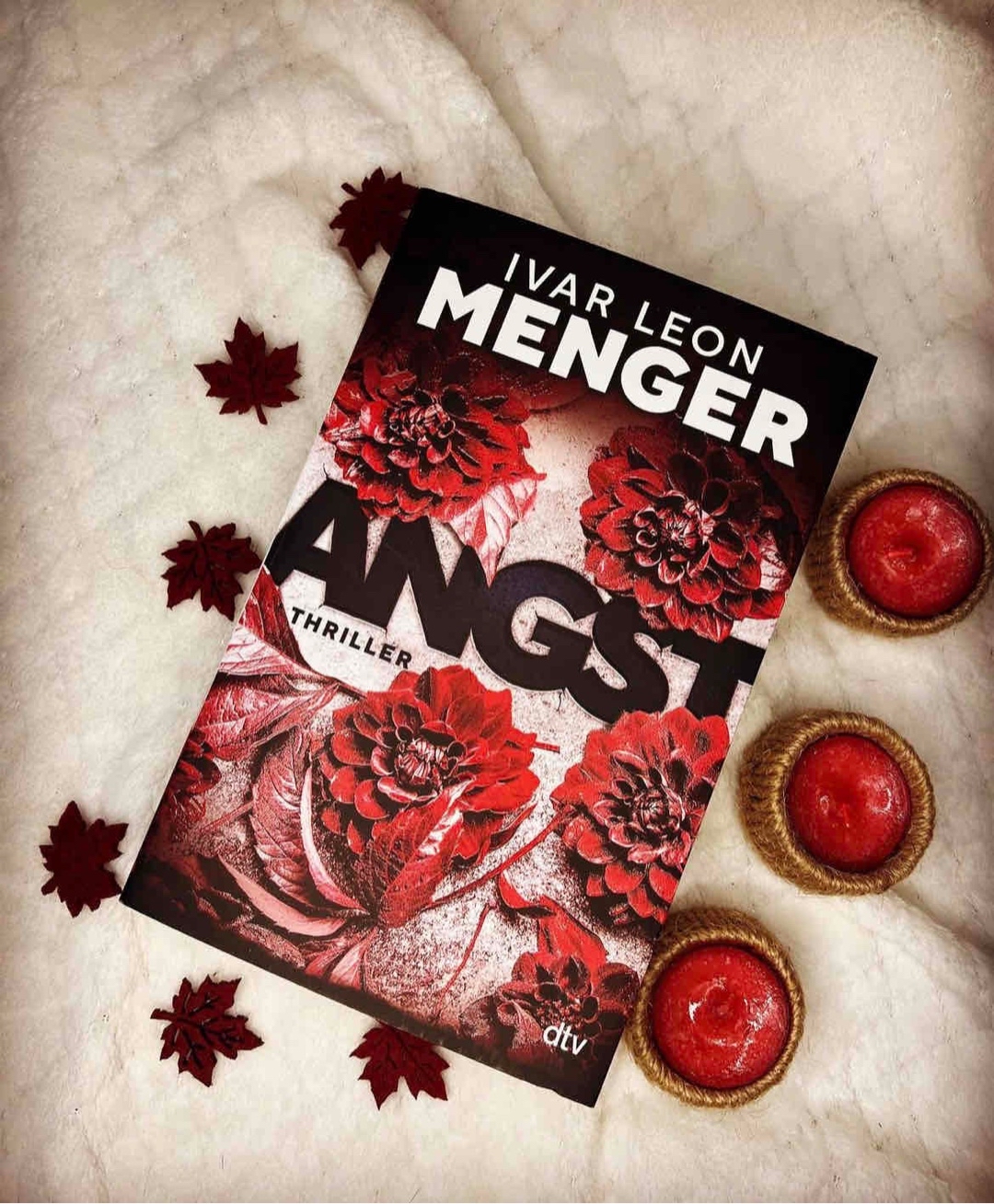 Schöner Thriller, aber mit Klappentext der Spoilern