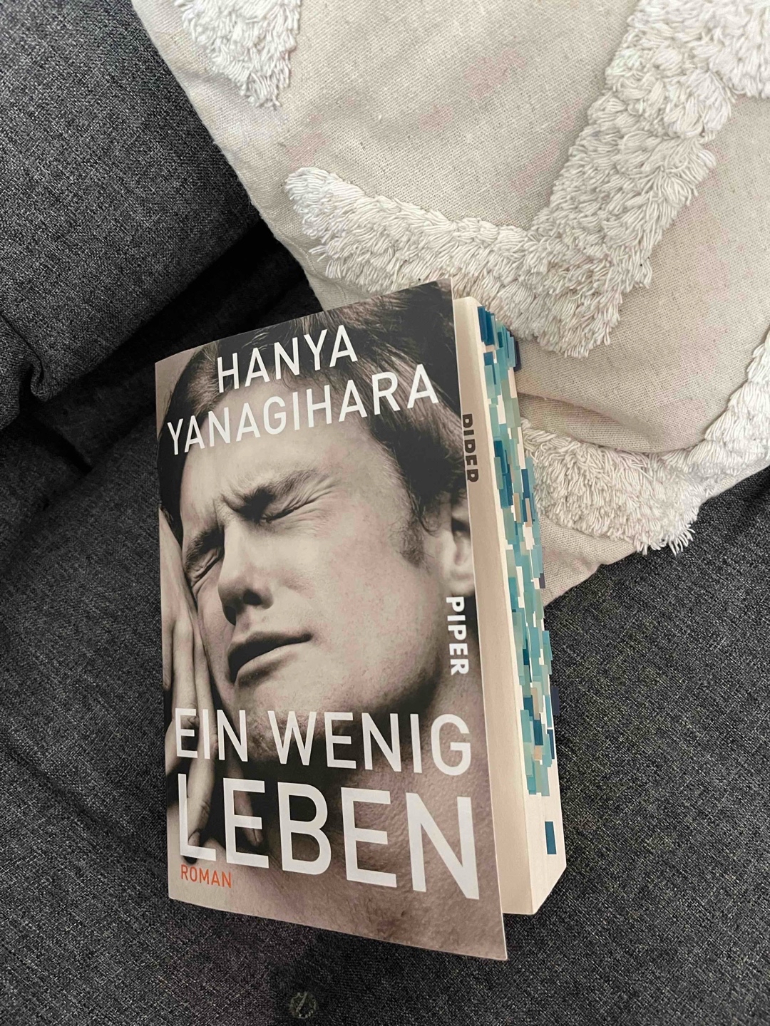 Es ist schwer in Worte zu fassen, was dieses Buch in mir bewirkt hat. Es ist ein unvergleichliches Werk, und ich werde wohl nie aufhören, an die Story und die Charaktere zu denken. Für mich, war es eines der besten Bücher, die ich jemals gelesen habe. Es ist definitiv keine leichte und einfache Lektüre, checkt unbedingt die Triggerwarnings!