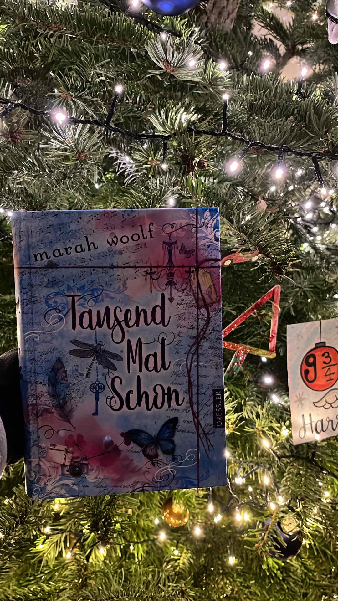 Ist mal was anderes kommt aber an ihre aktuellen Bücher nicht ran