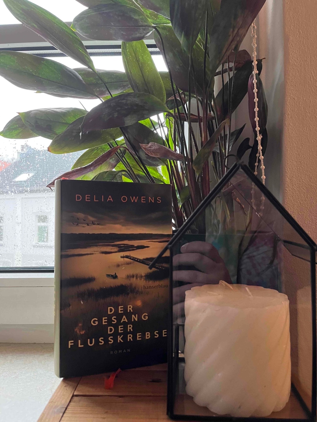 Dieses Buch hat mich alle Gefühle fühlen lassen !