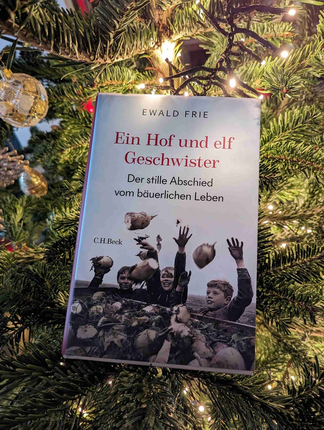 Sehr interessant