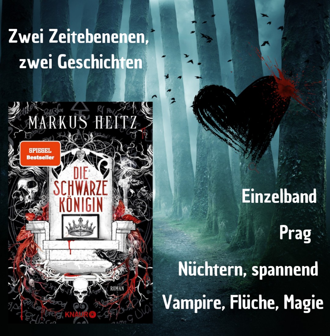 Düster, spannend, trocken. Ich mochte es.