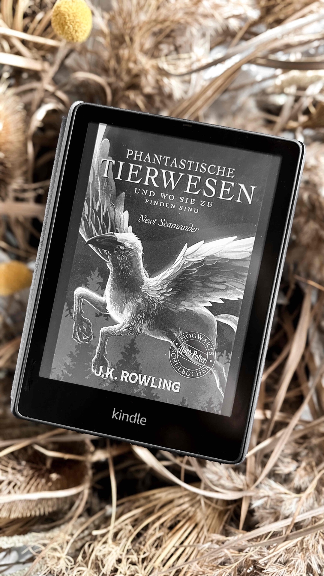 Ein Schulbuch für die Zauberer und Hexenausbildung, welches einem viele interessante magische Tiere vorstellt. Abbildungen zu den einzelnen Tierwesen würden das Buch noch bereichern.